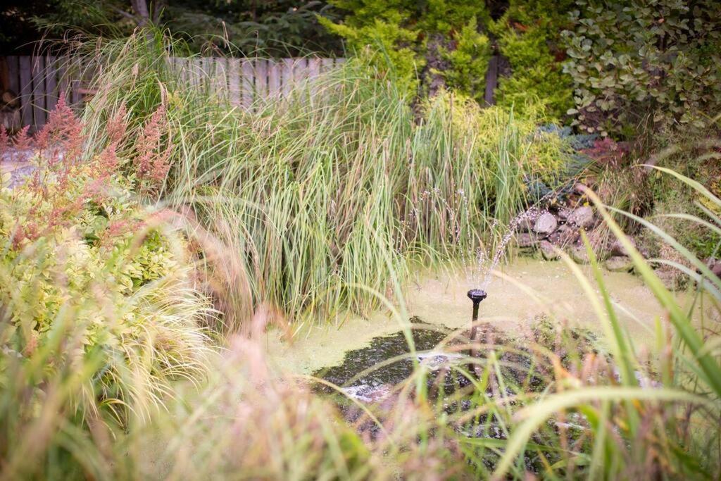 Calm Scottish Country Escape With Hot Tub Sleeps 6 Villa Inverness Bagian luar foto